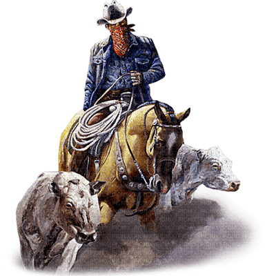 cowboy western man mann homme tube  person   human  people  cow boy cow-boy occidental wild west america horse pferde cheval animal - 無料png