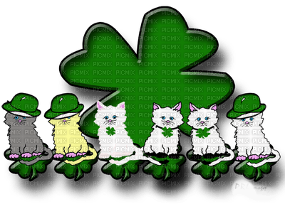 ♣ ST PATRICK'S DAY ♣ - darmowe png
