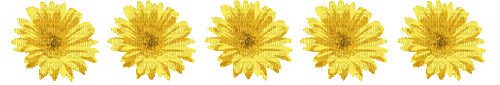 Blumen, gelb, Flowers, Yellow - GIF animate gratis