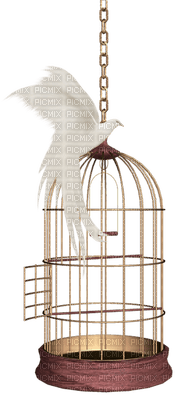bird cage anastasia - kostenlos png
