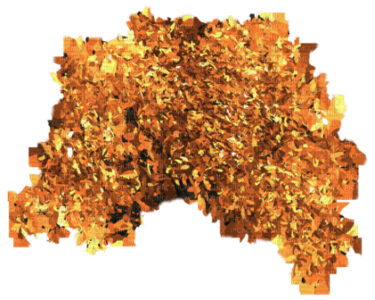 Herbst - zadarmo png