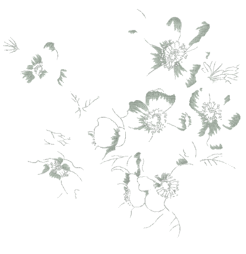 Flowers Transparent - Bezmaksas animēts GIF