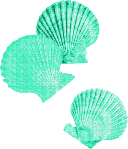 Seashells.Teal - kostenlos png