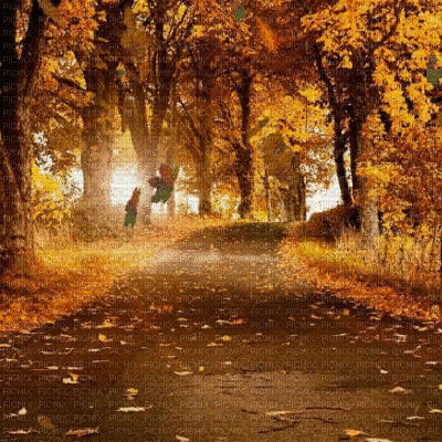automne fond gif autumn bg - Ilmainen animoitu GIF
