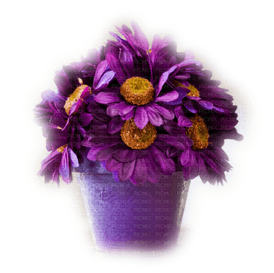 violeta - PNG gratuit