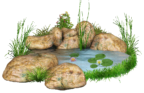 pond - GIF animado grátis