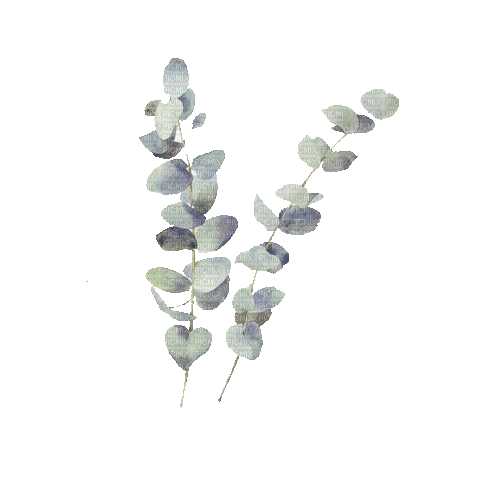 Plants.plante.gif.Victoriabea - Бесплатни анимирани ГИФ