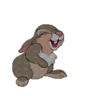 смеющийся кролик - 無料のアニメーション GIF