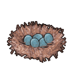 Birds Nest Spring - 無料のアニメーション GIF