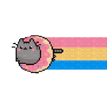 donut cat - GIF animado gratis