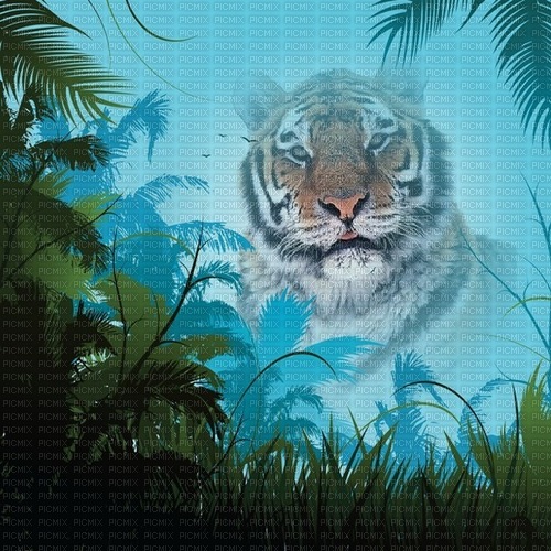 Tigre - безплатен png