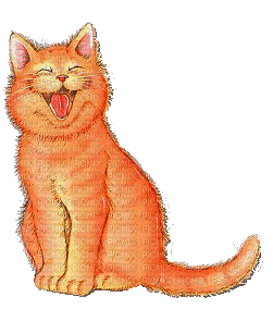cat chat katze animal  gif  fun  anime animated animation      tube - Δωρεάν κινούμενο GIF