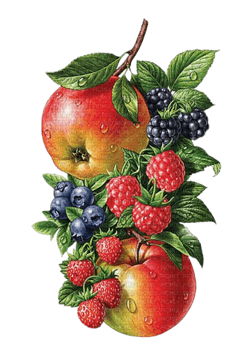 fruit - бесплатно png