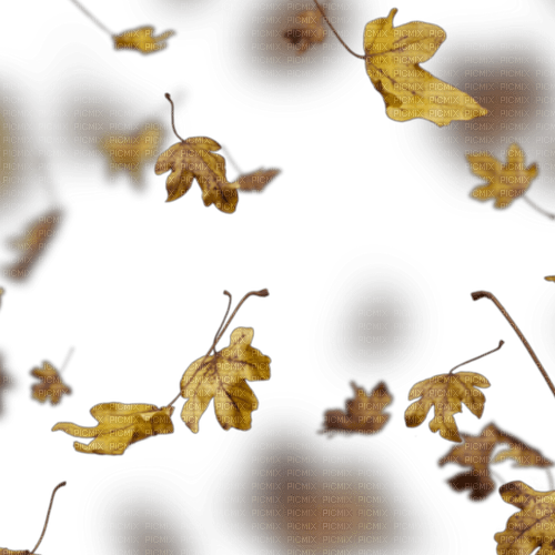 sm3 yellow autumn leaves overlay image resource - gratis png