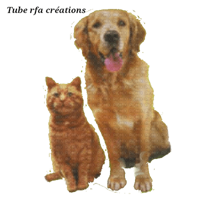 rfa créations -  chien et chat - darmowe png