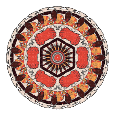 Orange Circle - Ingyenes animált GIF