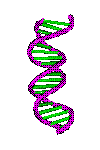 DNA - Бесплатный анимированный гифка