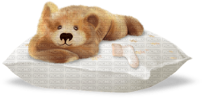teddy bear sweet sleep night nuit deco tube pillow oreiller kissen - PNG gratuit