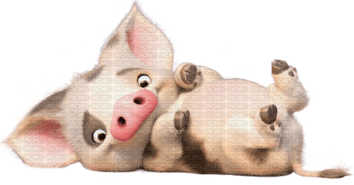 Cerdo rosado - zadarmo png