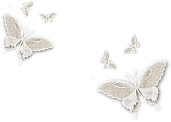fjäril-minetta - PNG gratuit