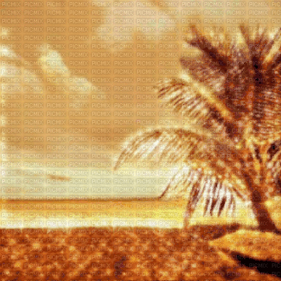 Brown Beach Background - Бесплатный анимированный гифка