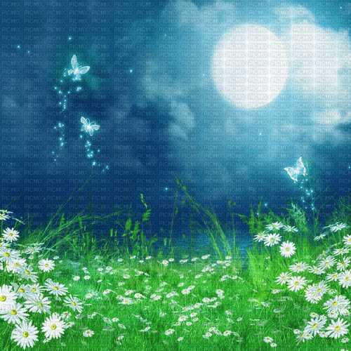 Y.A.M._Summer Fantasy night moon background - Free PNG