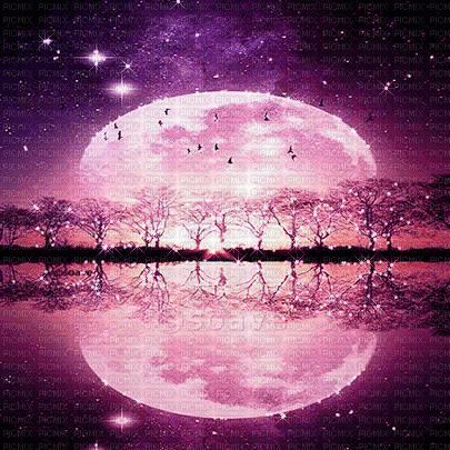 soave background  moon night purple - GIF เคลื่อนไหวฟรี