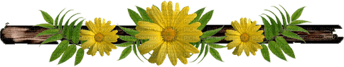 dolceluna border flower - Free PNG