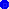 Point bleu glitte Ouistiti-Titi - Gratis animerad GIF