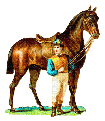horse bp - darmowe png