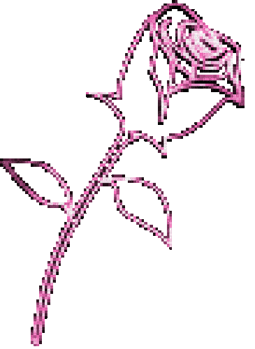 pink spinning rotating rose - Gratis animeret GIF