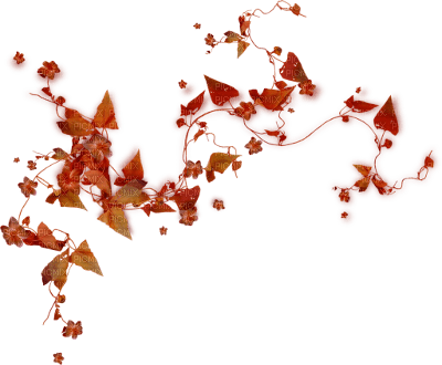 autumn leaves - zadarmo png