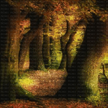 fall background - GIF เคลื่อนไหวฟรี