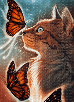 gatto con farfalle - ücretsiz png