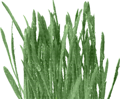 herbe - Безплатен анимиран GIF