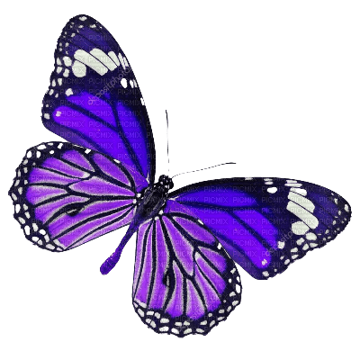 dolceluna purple blue butterfly spring deco png - PNG gratuit