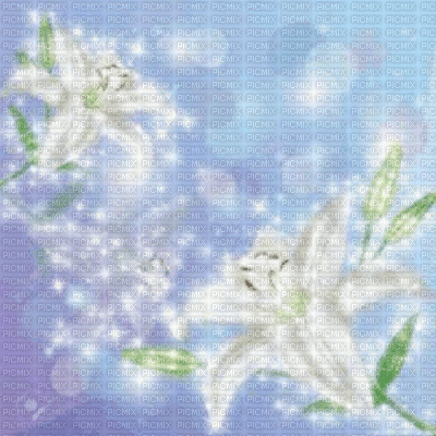 Lillies Background - Nemokamas animacinis gif
