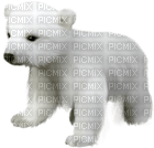 Kaz_Creations Animals Polar Bear - png gratis