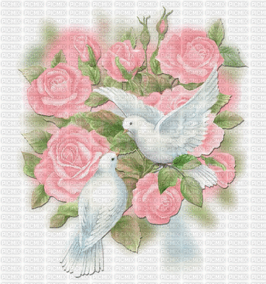 palomas y rosas - GIF animé gratuit