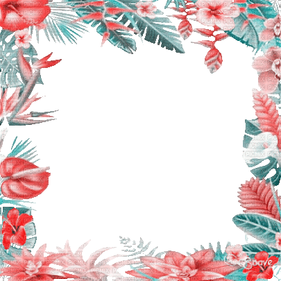 soave frame flowers summer animated tropical - Besplatni animirani GIF