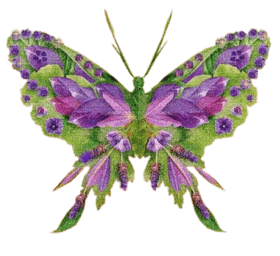 Farfalla - Ingyenes animált GIF