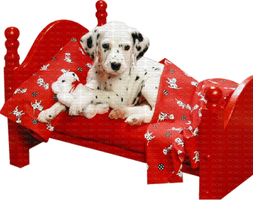 dolceluna dog pet bed - GIF animado grátis