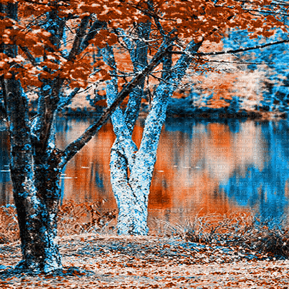 soave background animated autumn forest  tree - GIF animé gratuit