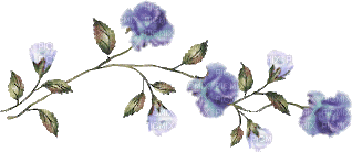 purple roses tube - Nemokamas animacinis gif