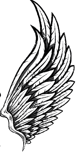 крылья - Darmowy animowany GIF