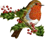 Kaz_Creations Bird Birds - 免费动画 GIF