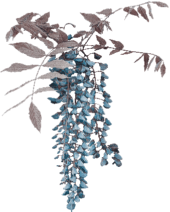 soave deco branch flowers animated blue brown - Δωρεάν κινούμενο GIF