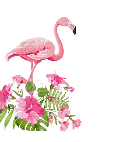 flamingo milla1959 - безплатен png
