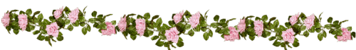 Roses - zadarmo png