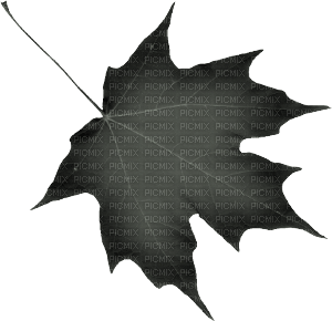 black autumn gothic dark leaf deco kikkapink - png gratuito